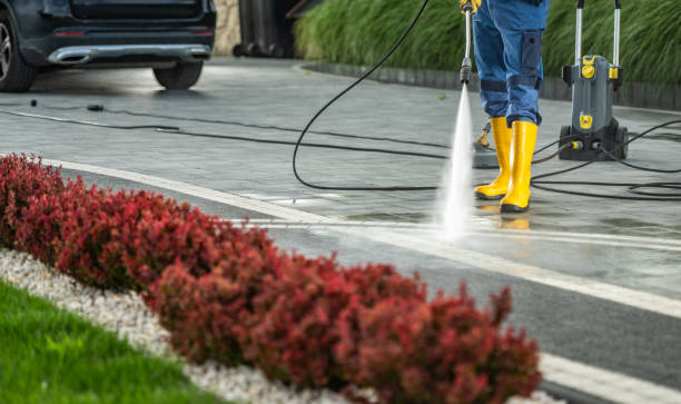 Best Sidewalk and Walkway Pressure Cleaning in Spring Creek, NV